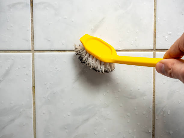 Best Black Mold Removal  in Hightstown, NJ