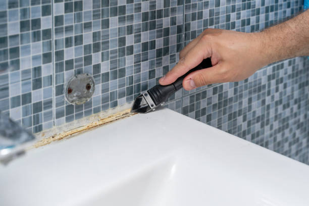 Best Local Mold Removal Service  in Hightstown, NJ
