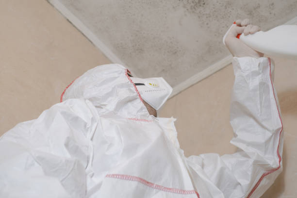 Best Fast Mold Removal  in Hightstown, NJ